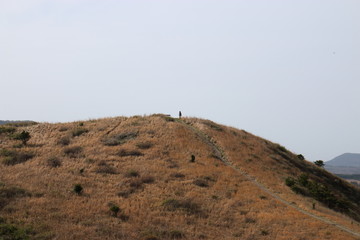 제주 