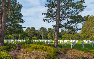 Fototapeta premium Normandy American Cemetery and Memorial