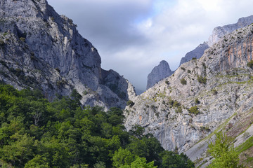 Fototapeta na wymiar National Park of Picos de Europa, León, Northern Spain. The oldest national park in Spain. It was created in 1918. 