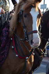 The tradition and Folk of Sardinia