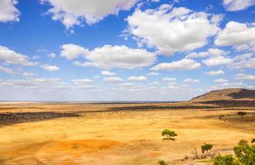 Savannah plains landscape in Kenya