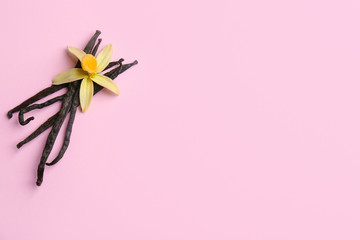 Flat lay composition with vanilla sticks and flower on pink background. Space for text
