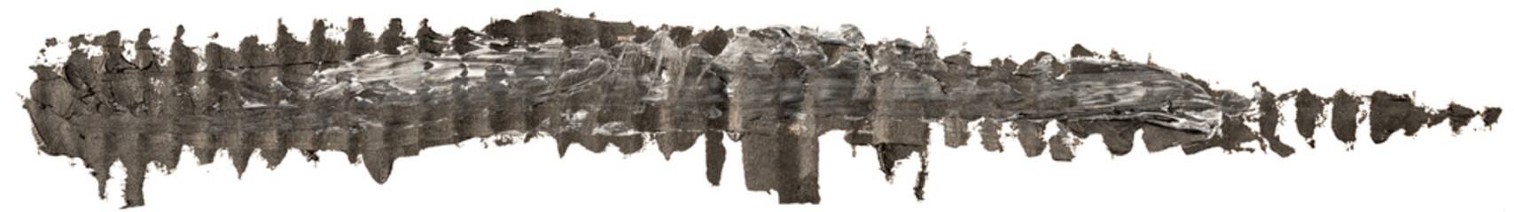 Black and white long oil texture paint stain brush stroke, hand painted, isolated on white background.