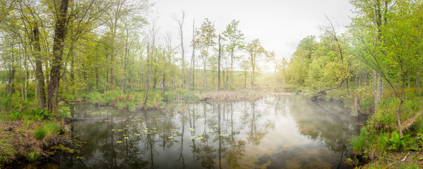 Fototapeta premium Panoramic view of Little Swartswood Lake in Swartswood State Park, NJ, on a foggy morning in early spring
