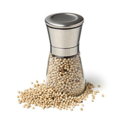 White peppercorns on white background