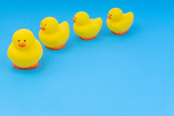 Yellow rubber duck on blue background. Selective focus and copy space concept