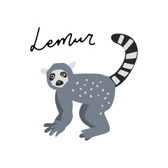 Africa Animals Vector