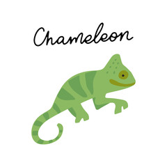 Africa Animals Vector