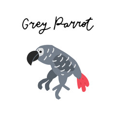 Africa Animals Vector