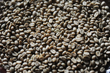 Green coffee beans texture top view background