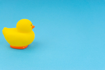 Yellow rubber duck on blue background. Selective focus and copy space concept