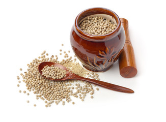 White peppercorns on white background