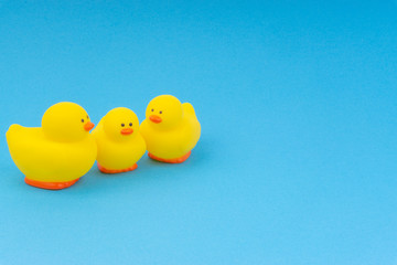 Yellow rubber duck on blue background. Selective focus and copy space concept