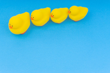 Yellow rubber duck on blue background. Selective focus and copy space concept