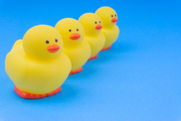 Yellow rubber duck on blue background. Selective focus and copy space concept