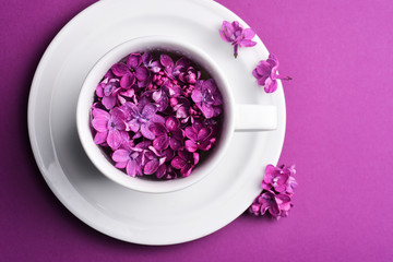 lilac in a cup