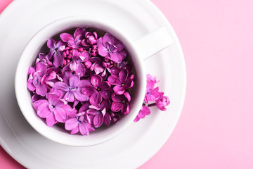 lilac in a cup