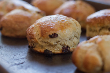 Freshly Baked Scones