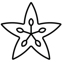 Nice Outline Star fruit vector icon