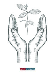 Hand drawn hand gesture. Safe palms with sprout.  Template for your design works. Engraved style vector illustration.