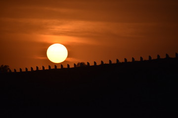Obraz premium Nyari dam, rajkot, India - sunset silhouette with orenge colored sky.