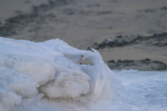 spring says goodbye to winter