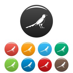 Cute magpie icons set 9 color vector isolated on white for any design