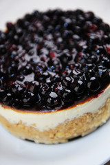 Blueberry cheesecake on a white plate top view