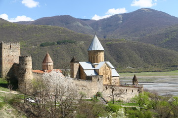  the old castle in the antique land