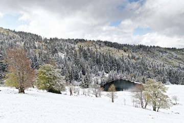 Fototapeta na wymiar étang des Vosges enneigés