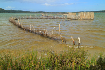 Traditional Tsonga fish traps built in the Kosi Bay estuary, Tongaland, South Africa. - obrazy, fototapety, plakaty