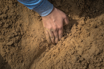 Thai people and farmers search for rice seeds at The Royal Ploughing Ceremony Day.In order to be a...