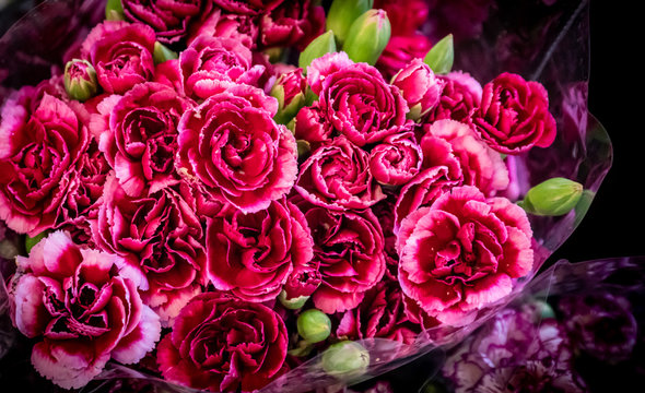 roses with dramatic tone