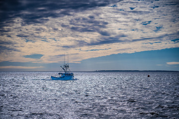 Obraz premium Lobster fishing boats arrive back to home port from a long day at sea.