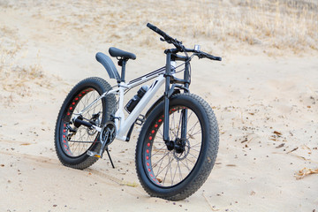 Bike, fatbike on the lake, the sea