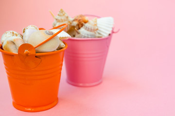 Two buckets filled with seashells on a pink background. Orange and pink bucket. There is a place for text. Maritime concept.