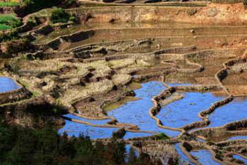 Honghe Yuanyang, Samaba Rice Terrace Fields - Baohua township, Yunnan Province China. Sama Dam Multi-Color Terraces - grass, mud construction layered terraces filled with water, blue sky reflection