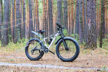 Fototapeta na wymiar Bike, fatbike in the forest
