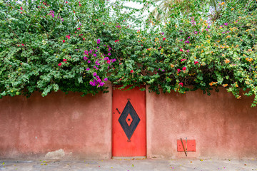 Door with Colorful Flowering Plants in Marrakech Morocco