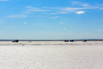 Fototapeta na wymiar Desert Salt lagoon,Dunaliella salina coloration, La Pampa, Argentina