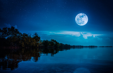 Belle pleine lune et nuageux au-dessus des silhouettes d& 39 arbres, région du lac.