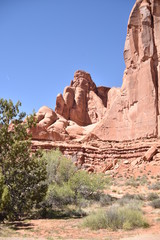 Fototapeta premium Canyonlands National Park, Utah. U.S.A. Beautiful pinyon and juniper pine and red sandstone moutains
