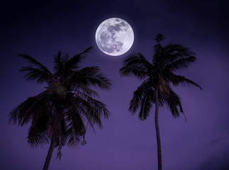 Landscape of sky with full moon over coconut palm. Serenity background.