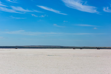 Desert Salt lagoon,Dunaliella salina coloration, La Pampa, Argentina
