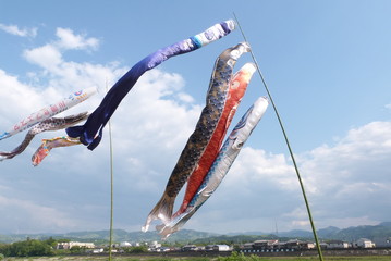 鯉のぼり