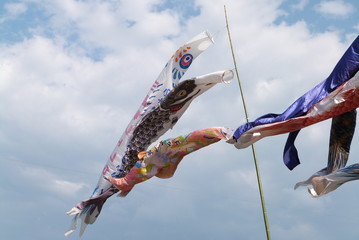 鯉のぼり