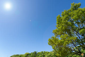 エコ　環境イメージ