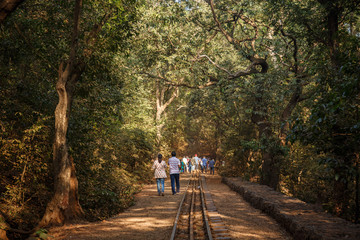 Fototapeta premium walk in a jungle hill station