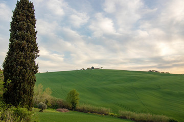 Landscape of Marche