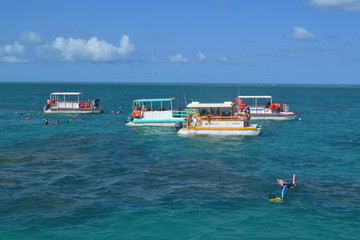 Parrachos
